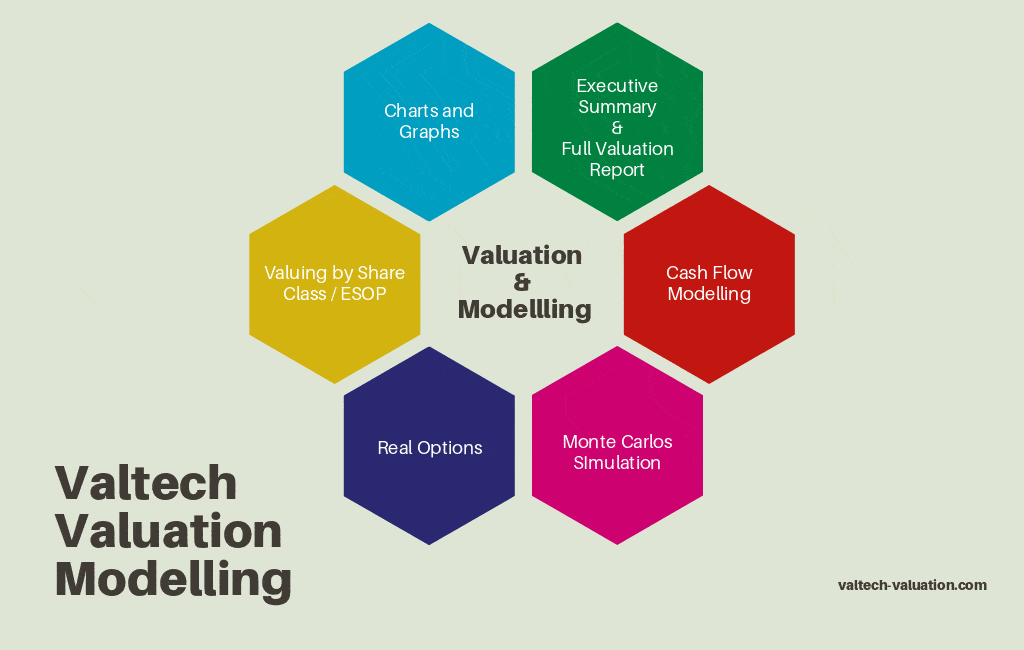 Valuing Private Equity Investments 2 PE VC Valuation3