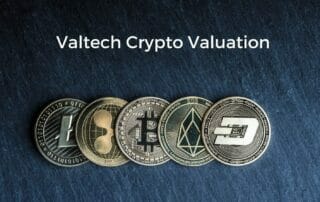 Crypto Asset Valuation 8 Crypto Valuation