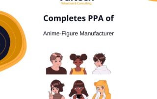 Valtech Valuation Completes Purchase Price Allocation of Anime-Figure Manufacturer 4 Valtech Valuation Completes Purchase Price Allocation of Anime-Figure Manufacturer