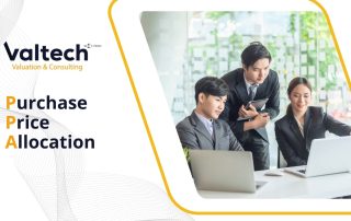 Ensuring Accurate Asset Valuation in Business Acquisitions with Valtech's PPA Service 20 PPA Service