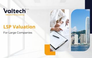 Valtech's Long Service Payment (LSP) Valuation Services for Large Companies 25 LSP large companies