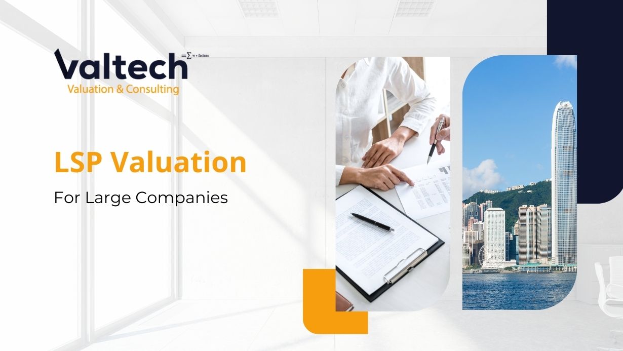 Valtech's Long Service Payment (LSP) Valuation Services for Large Companies 4 LSP large companies