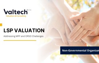 Valtech Completes Comprehensive LSP Valuation for NGO Client 2 NGO LSP Valuation