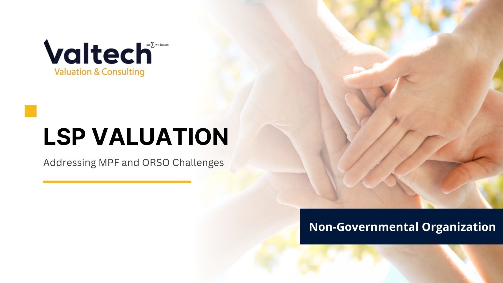 Valtech Completes Comprehensive LSP Valuation for NGO Client 6 NGO LSP Valuation