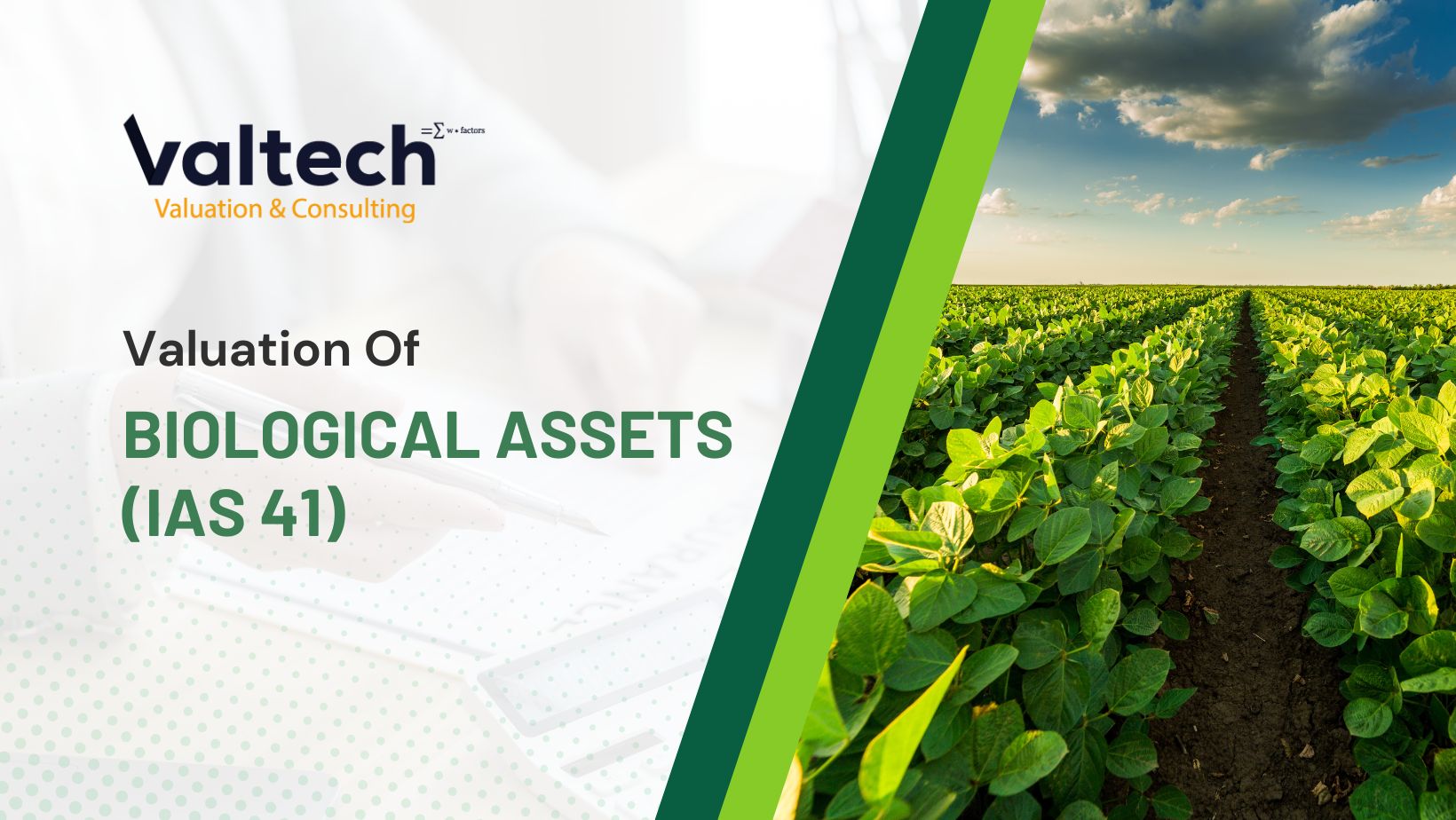 Valtech Provides Valuation Service of Biological Assets (IAS 41) 3 Biological Assets Valuation