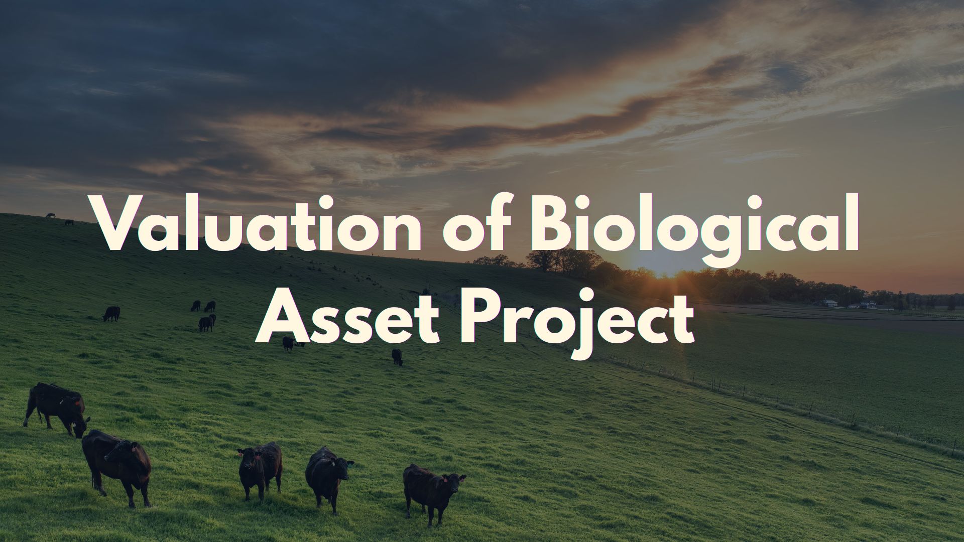 Valtech Completed a Project on Valuation of Biological Assets 7 Biological Asset